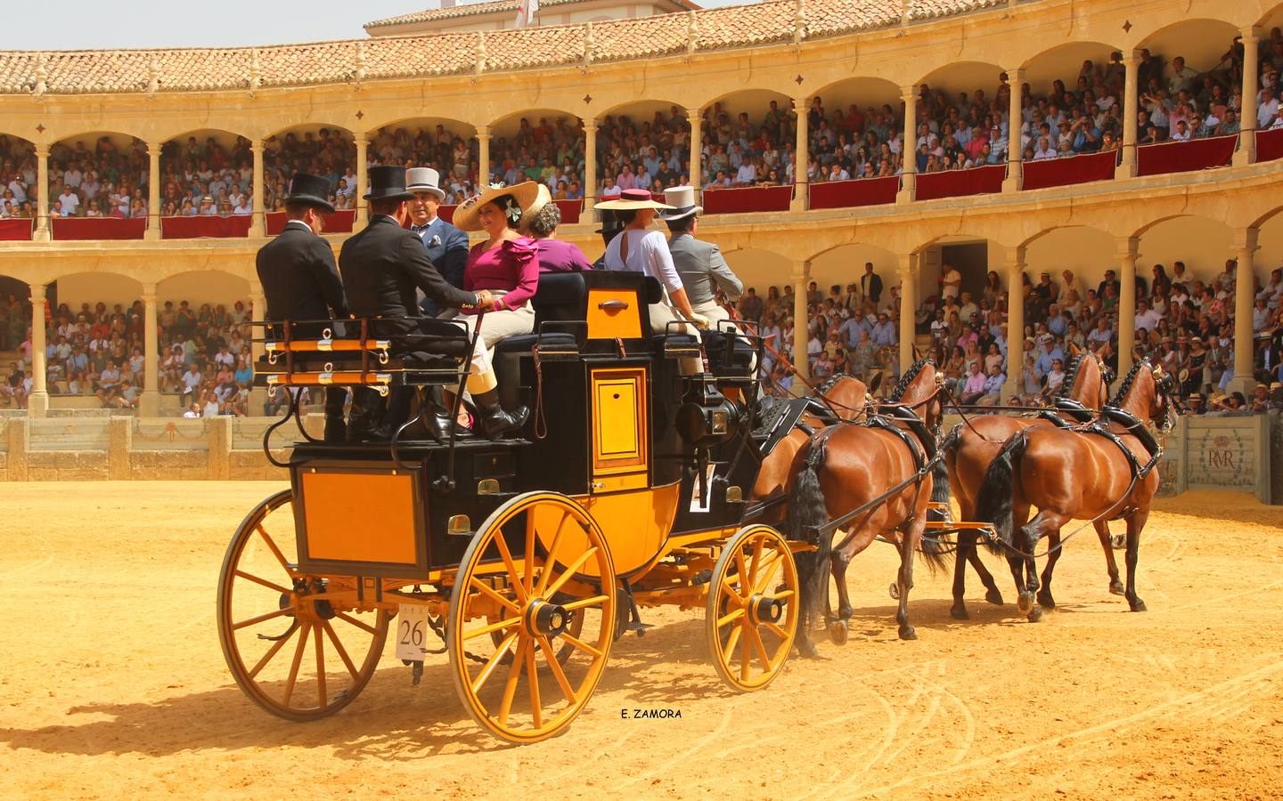 Lo mejor de la Exhibición de Enganches de Ronda