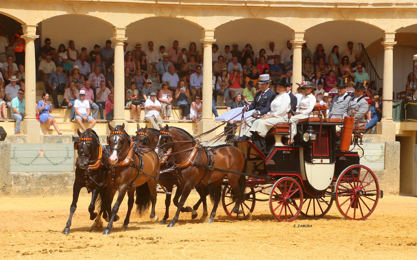 Lo mejor de la Exhibición de Enganches de Ronda