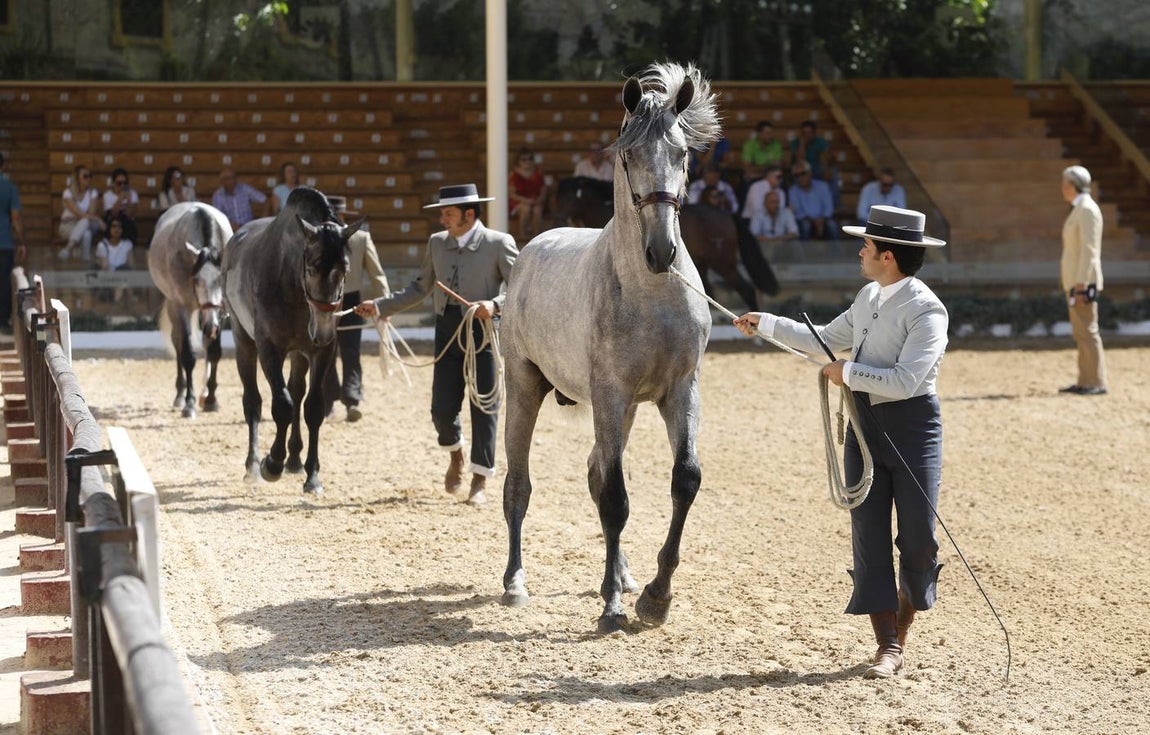 La primera jornada de Cabalcor, en imágenes