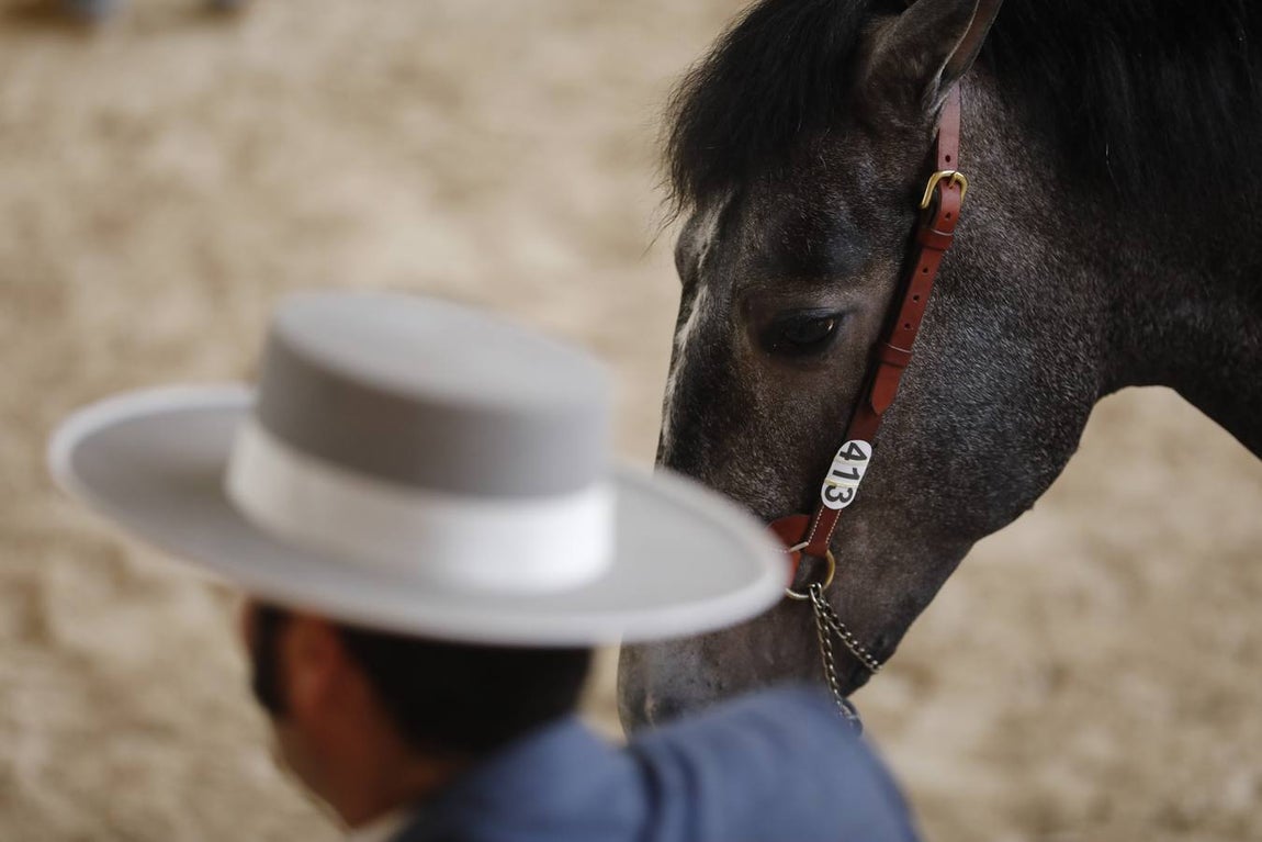 La primera jornada de Cabalcor, en imágenes