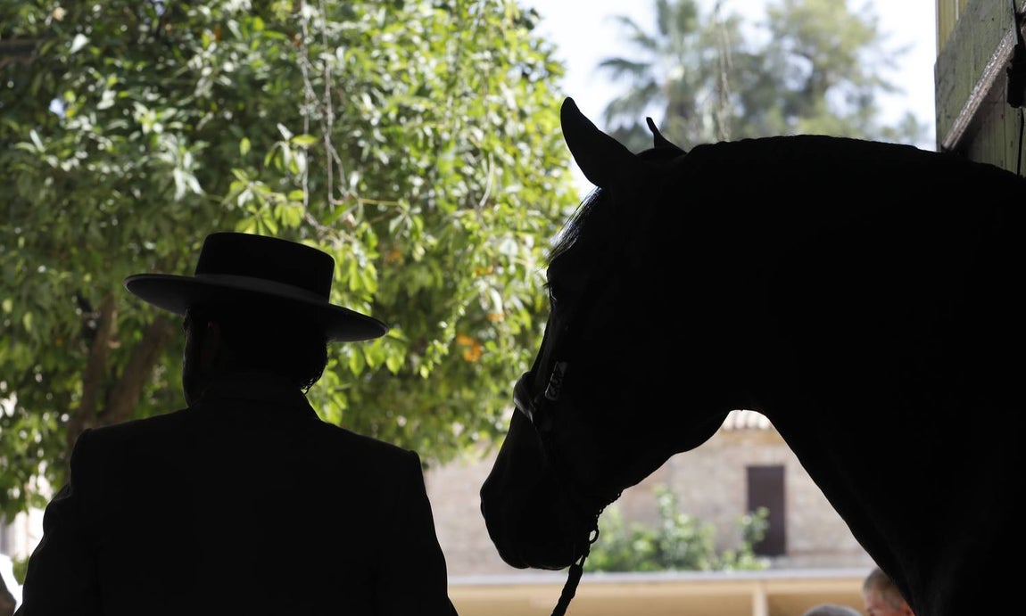 La primera jornada de Cabalcor, en imágenes