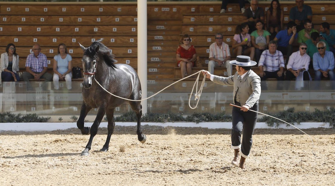 La primera jornada de Cabalcor, en imágenes