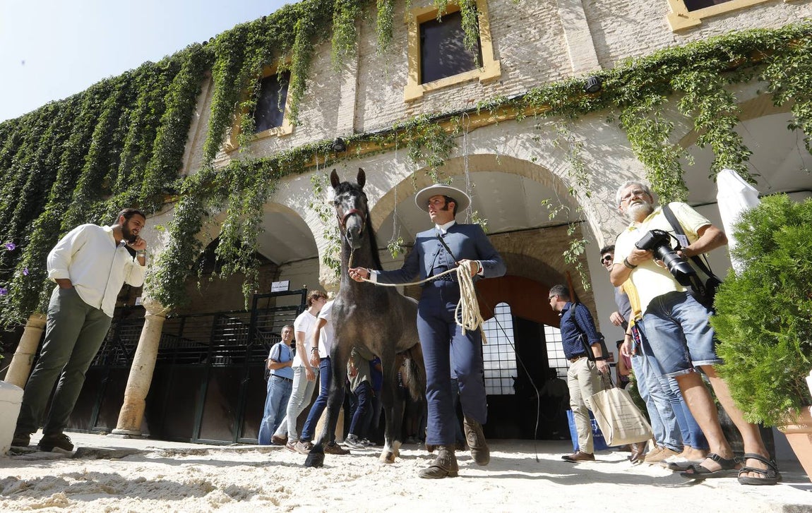 La primera jornada de Cabalcor, en imágenes