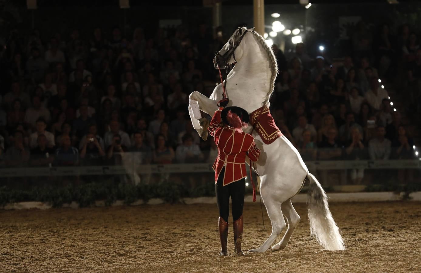 Las mejores imágenes de la escuadra del Kremlin en Cabalcor