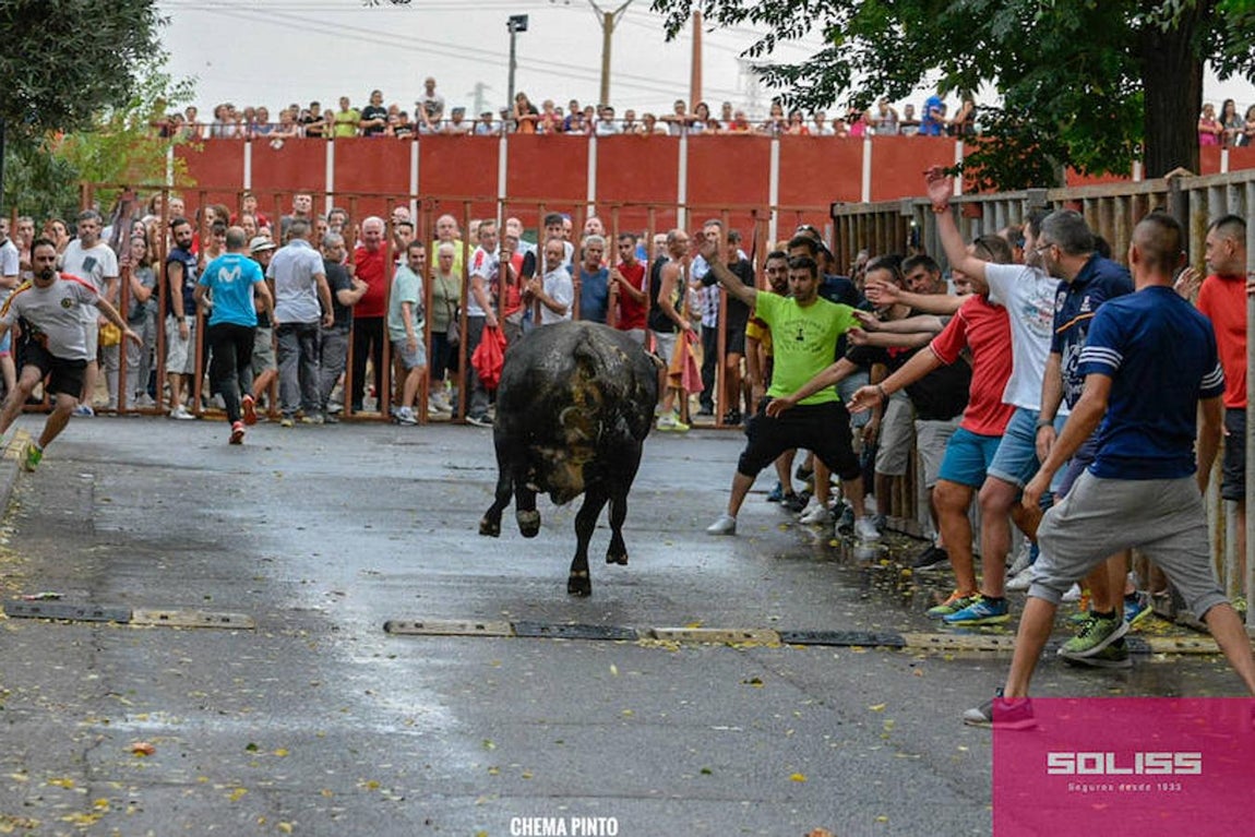 Encierro y recortadores en Numancia de la Sagra