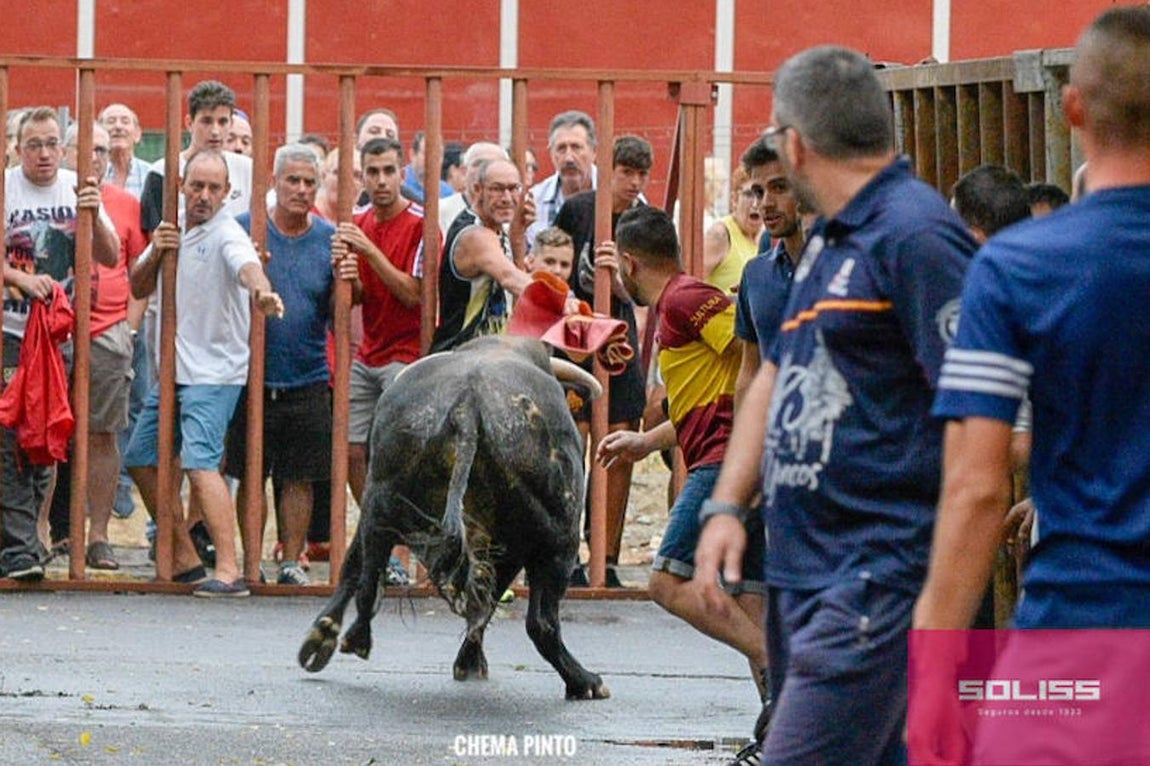 Encierro y recortadores en Numancia de la Sagra