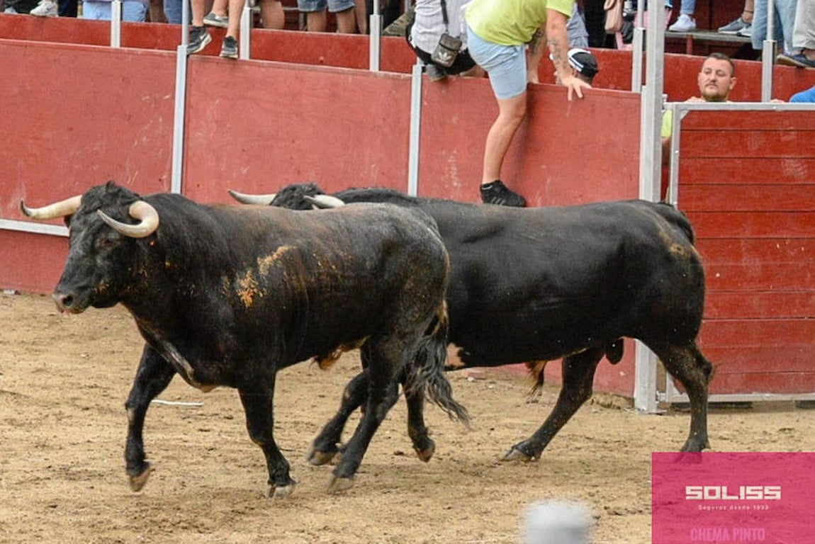 Encierro y recortadores en Numancia de la Sagra