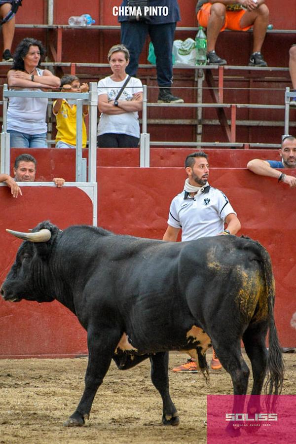 Encierro y recortadores en Numancia de la Sagra