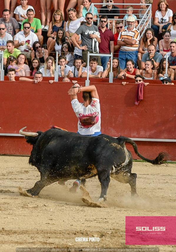 Encierro y recortadores en Numancia de la Sagra
