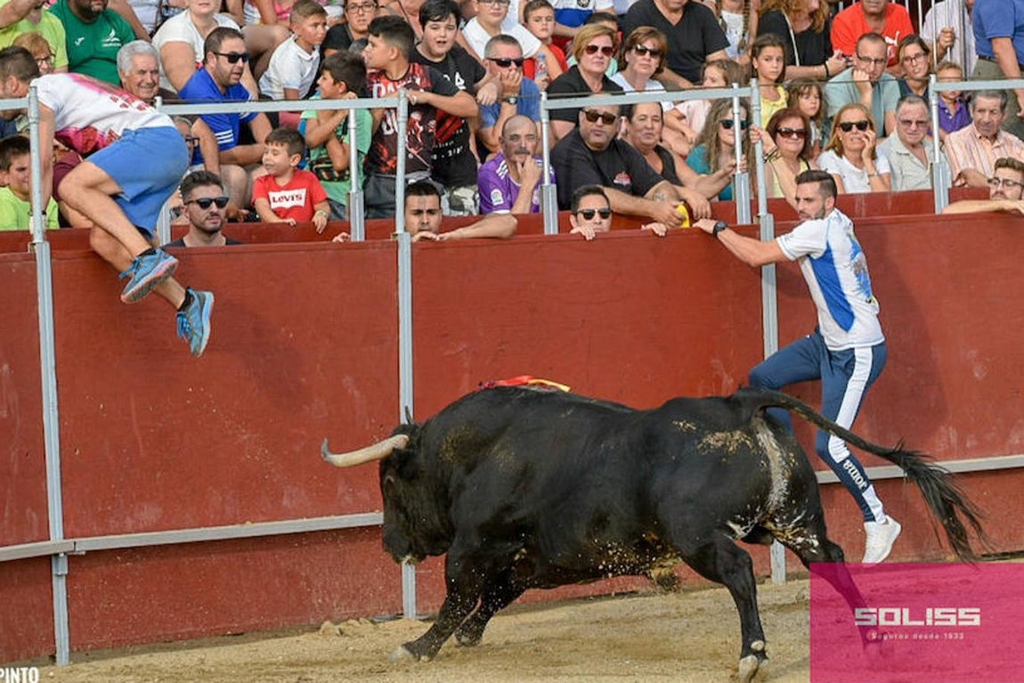 Encierro y recortadores en Numancia de la Sagra