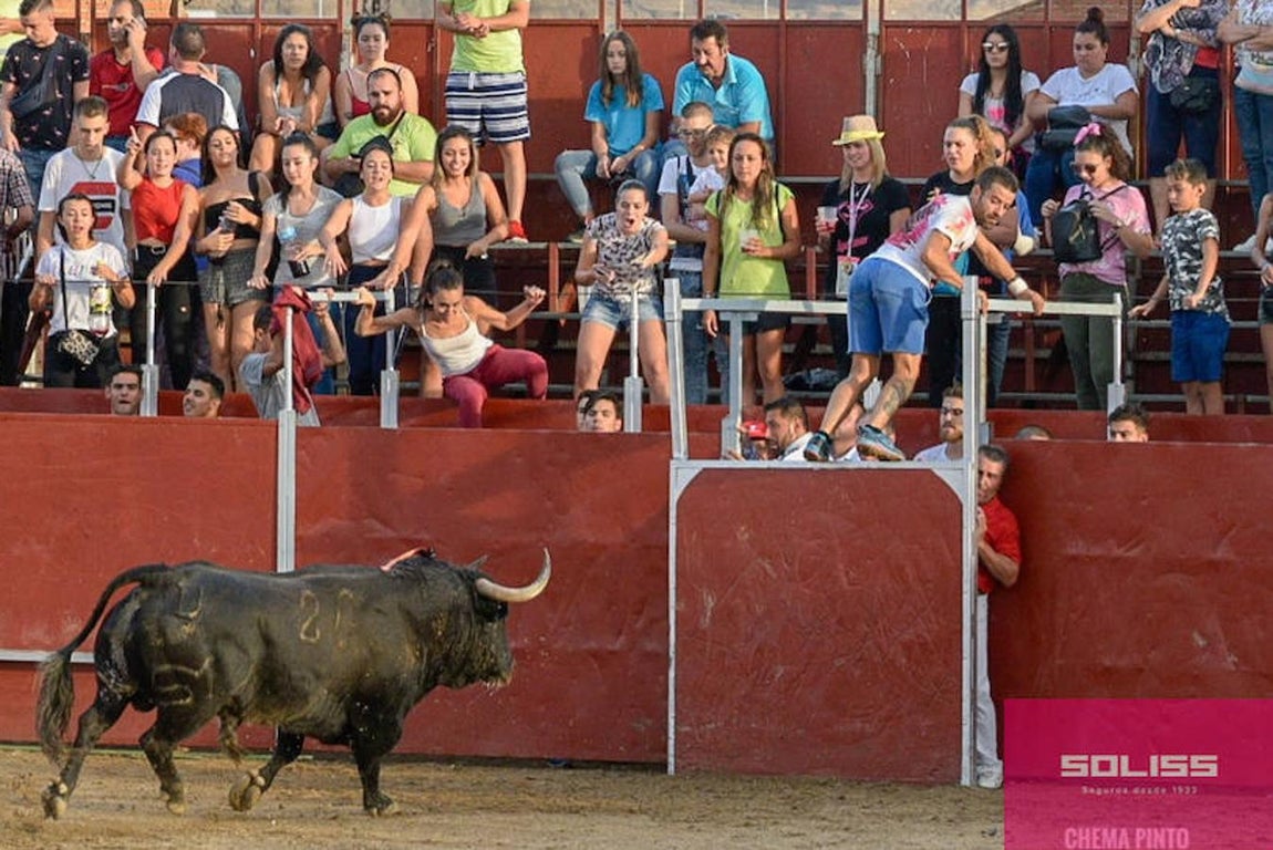 Encierro y recortadores en Numancia de la Sagra