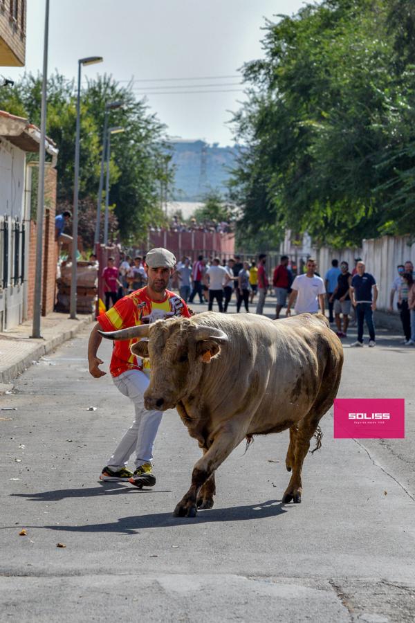 El encierro de Cobeja, en imágenes