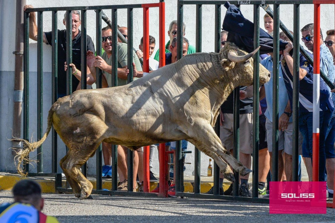 El encierro de Cobeja, en imágenes