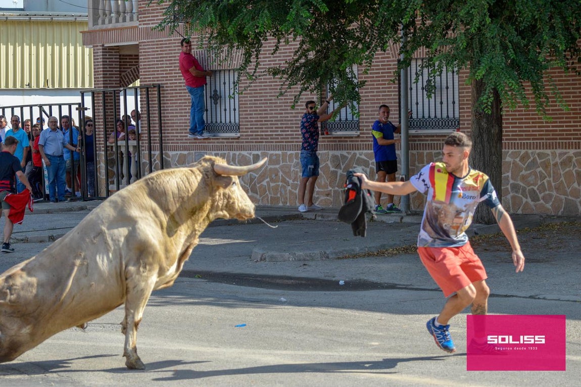 El encierro de Cobeja, en imágenes