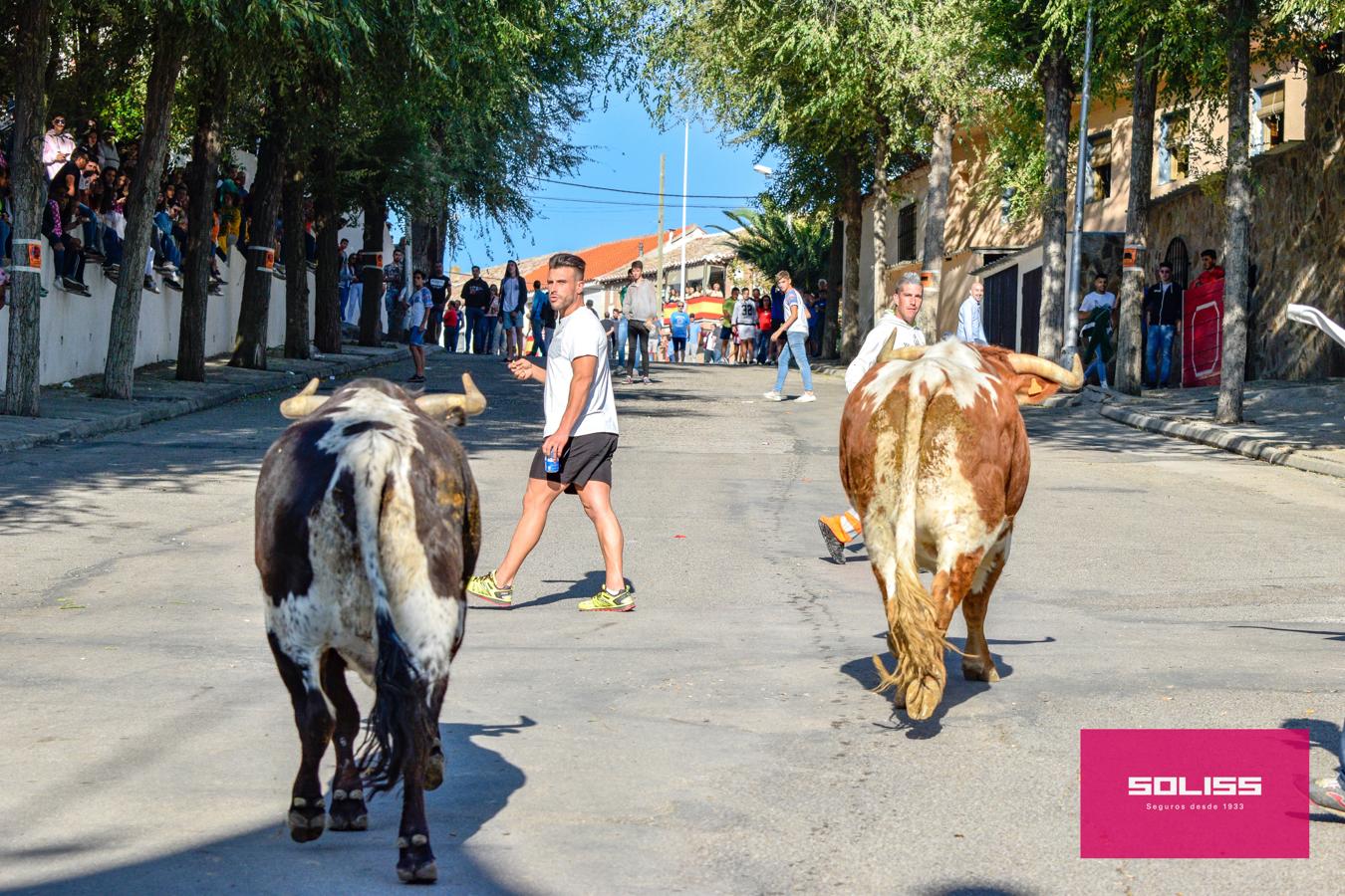 Los encierros marcan las fiestas de Yepes