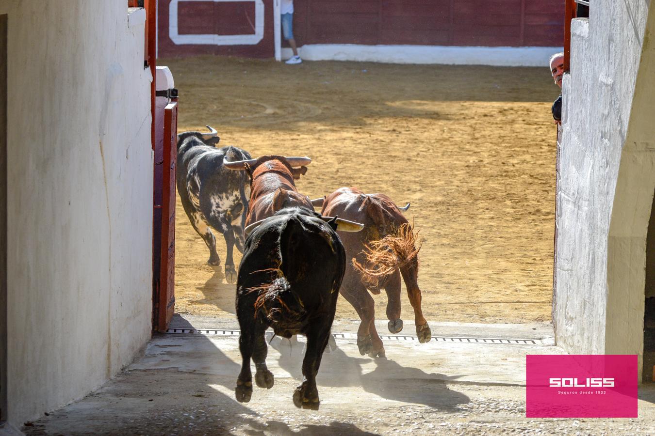 Los encierros marcan las fiestas de Yepes