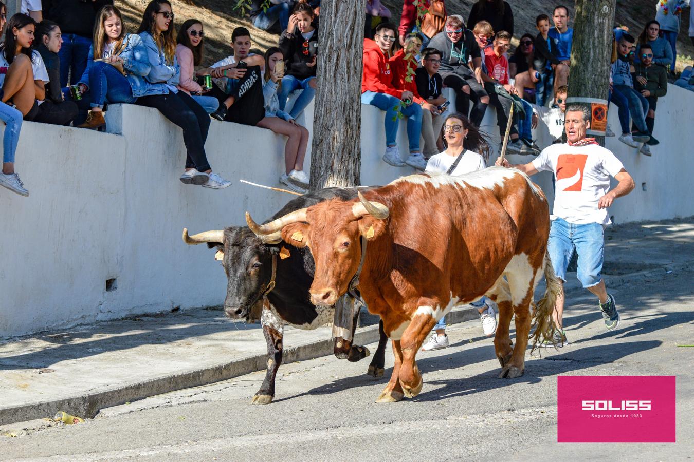 Los encierros marcan las fiestas de Yepes