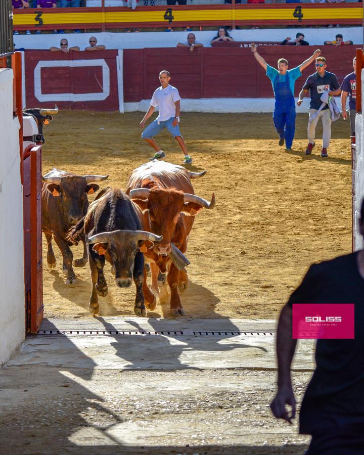 Los encierros marcan las fiestas de Yepes