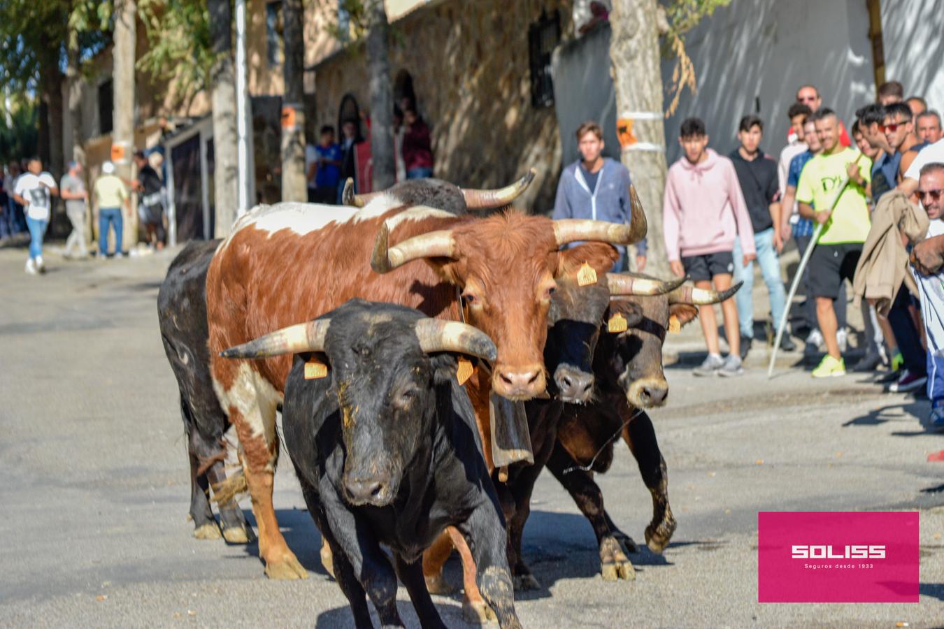 Los encierros marcan las fiestas de Yepes