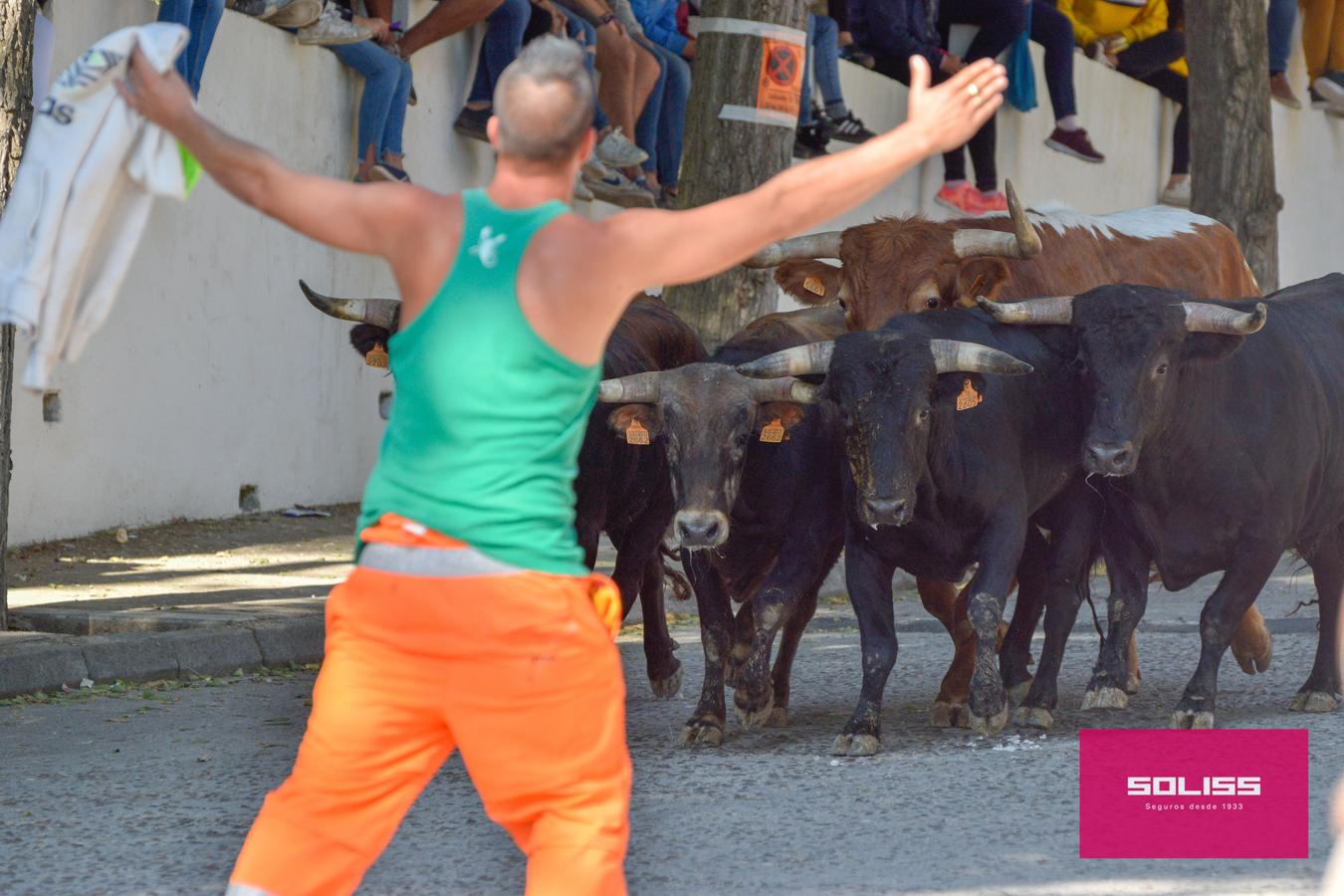 Los encierros marcan las fiestas de Yepes