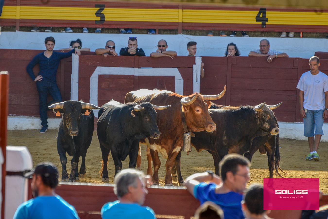 Los encierros marcan las fiestas de Yepes