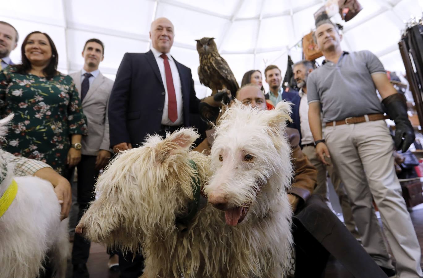 La inauguración de Intercaza en Córdoba, en imágenes