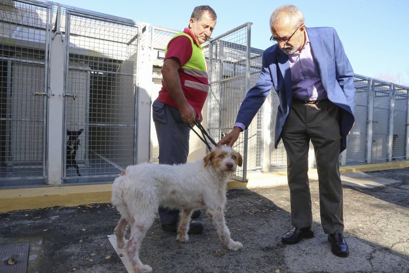 Nueva campaña de adopción de animales en el Zoosanitario