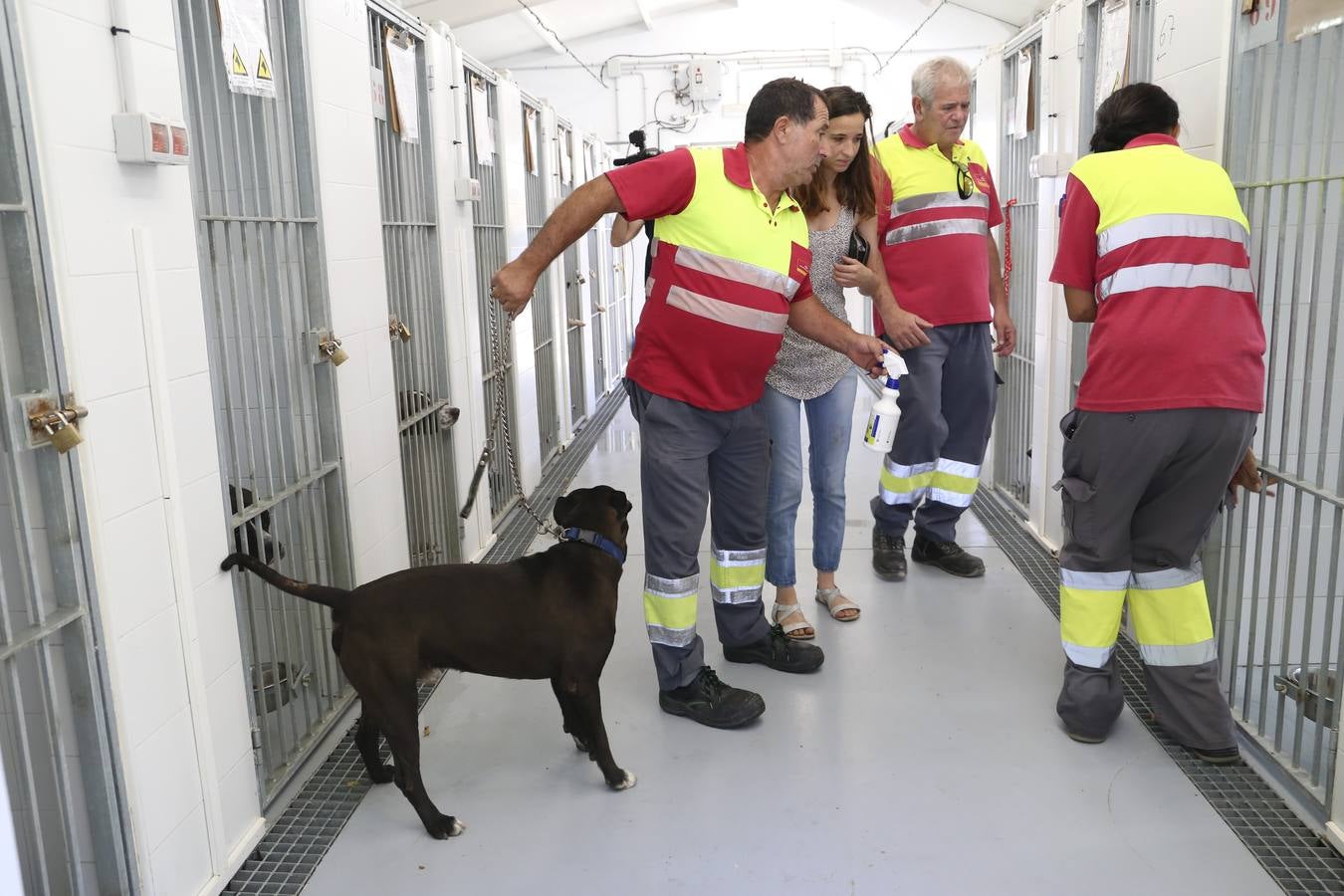 Nueva campaña de adopción de animales en el Zoosanitario