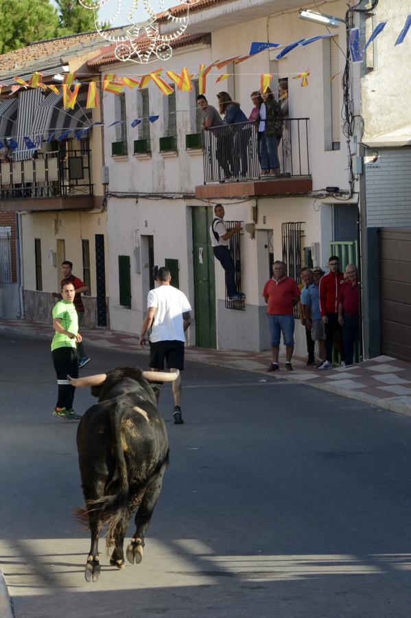 Portillo se despide de sus festejos taurinos