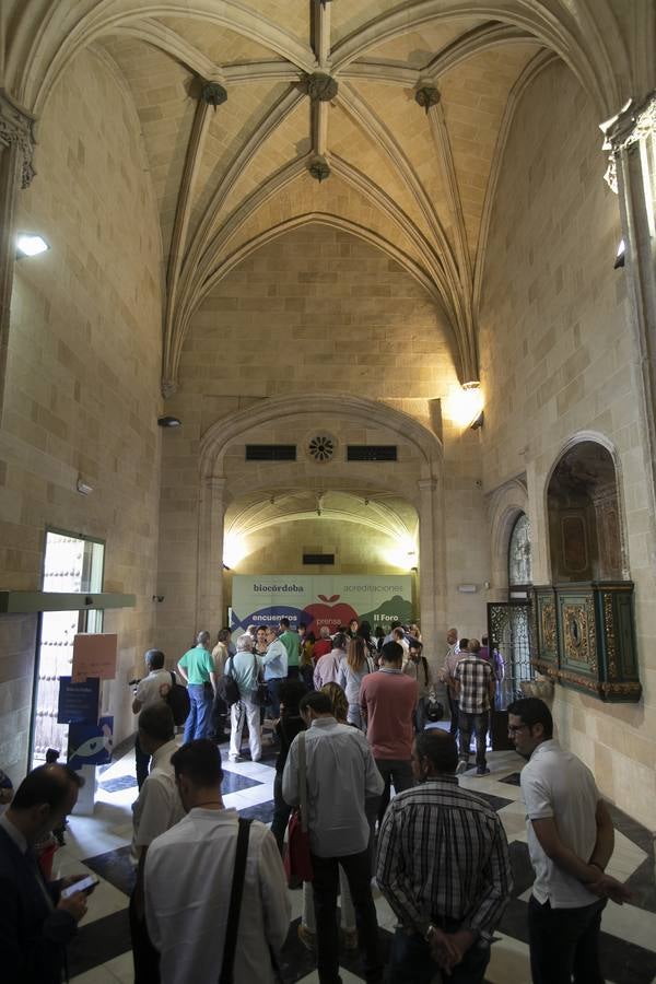 El primer día del remozado Palacio de Congresos de Córdoba, en imágenes