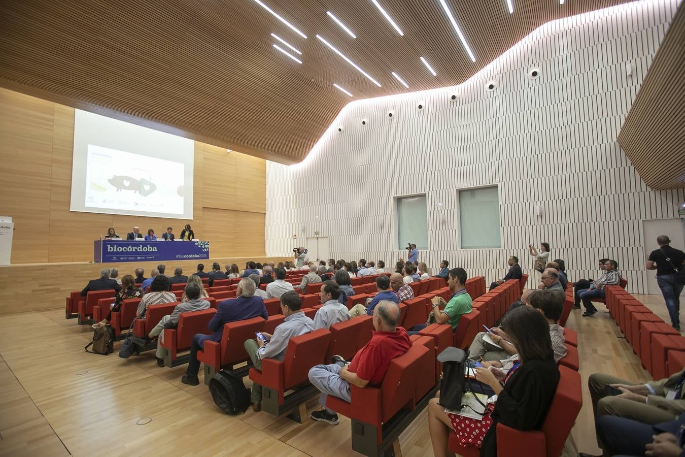 El primer día del remozado Palacio de Congresos de Córdoba, en imágenes