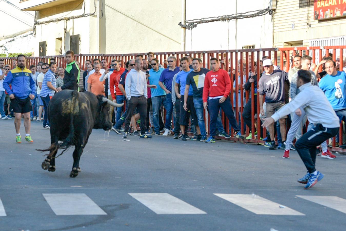 Los populares encierros de Olías del Rey, en imágenes