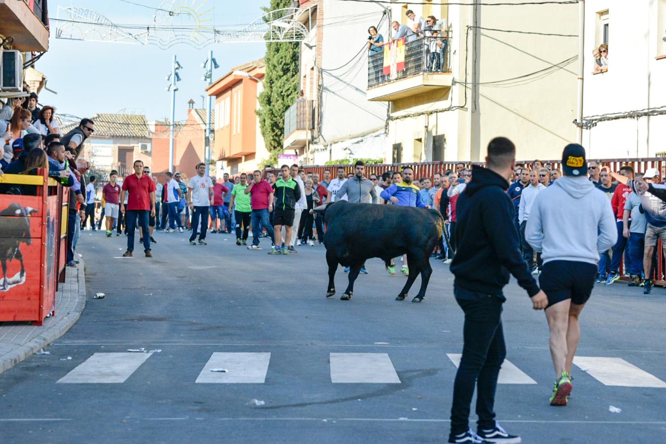 Los populares encierros de Olías del Rey, en imágenes