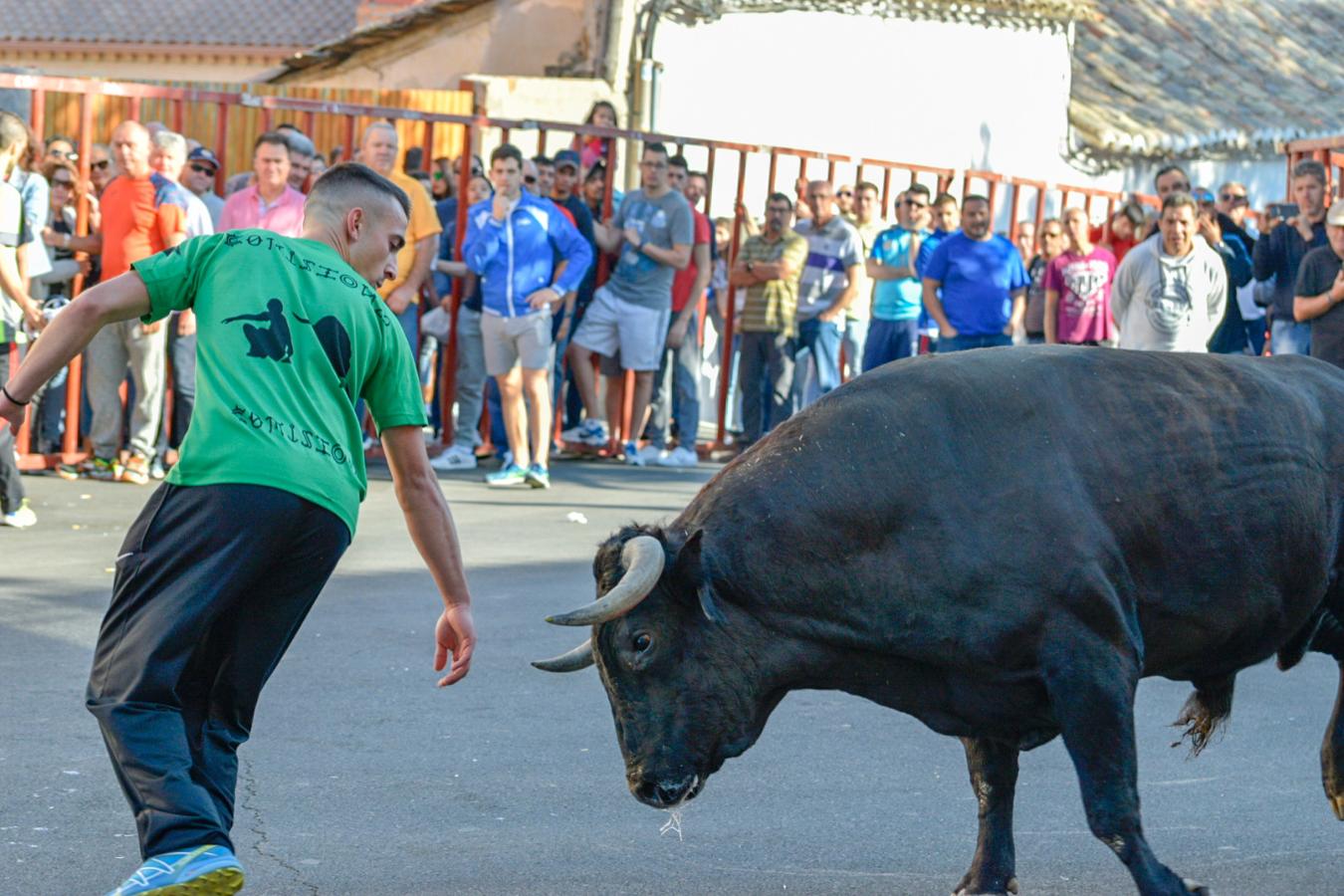 Los populares encierros de Olías del Rey, en imágenes