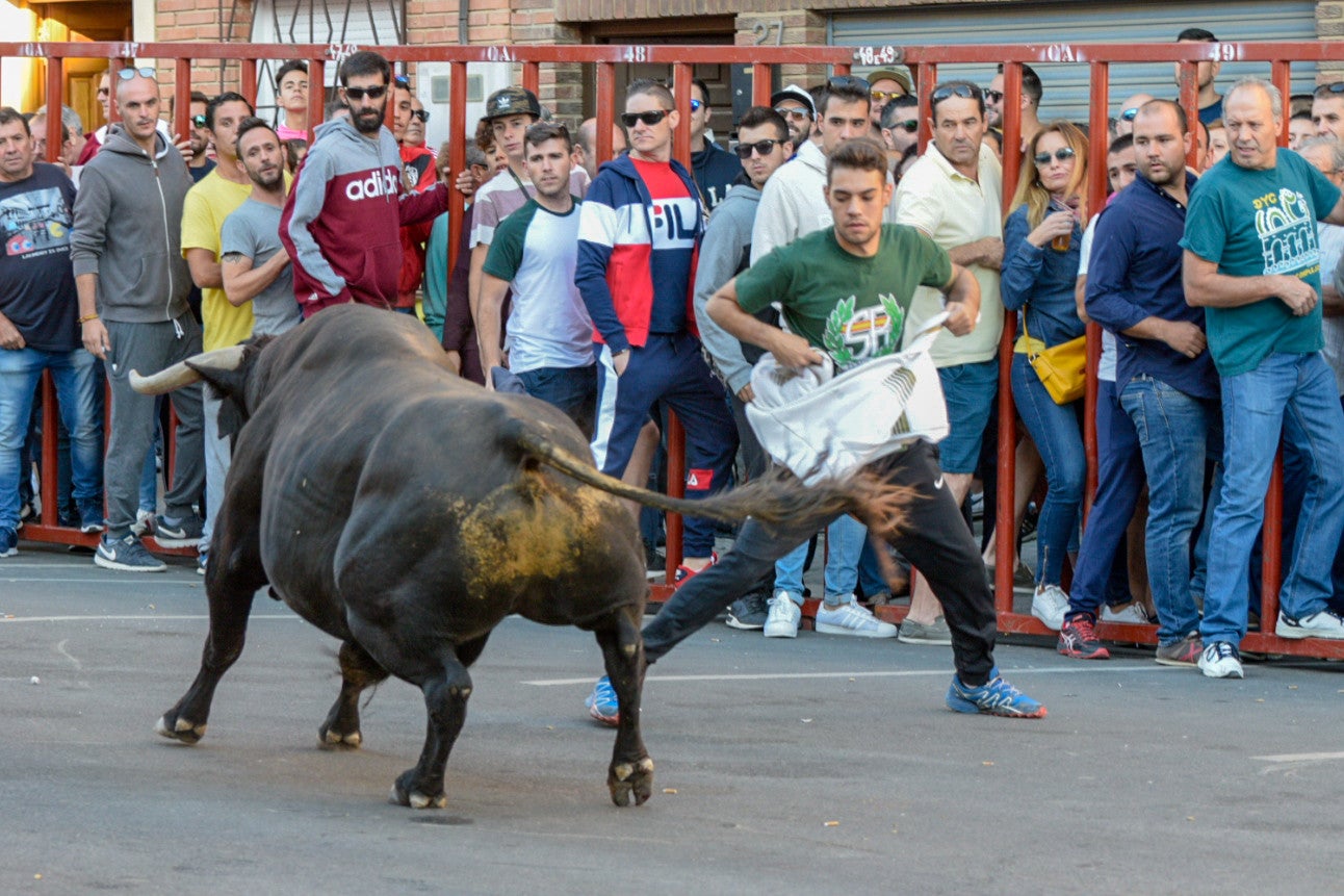 Los populares encierros de Olías del Rey, en imágenes