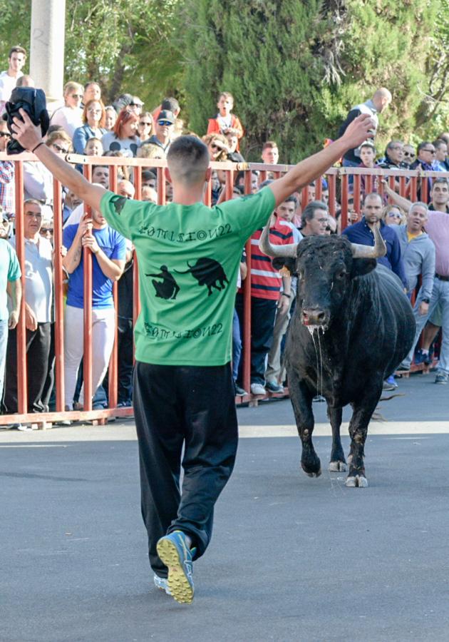 Los populares encierros de Olías del Rey, en imágenes