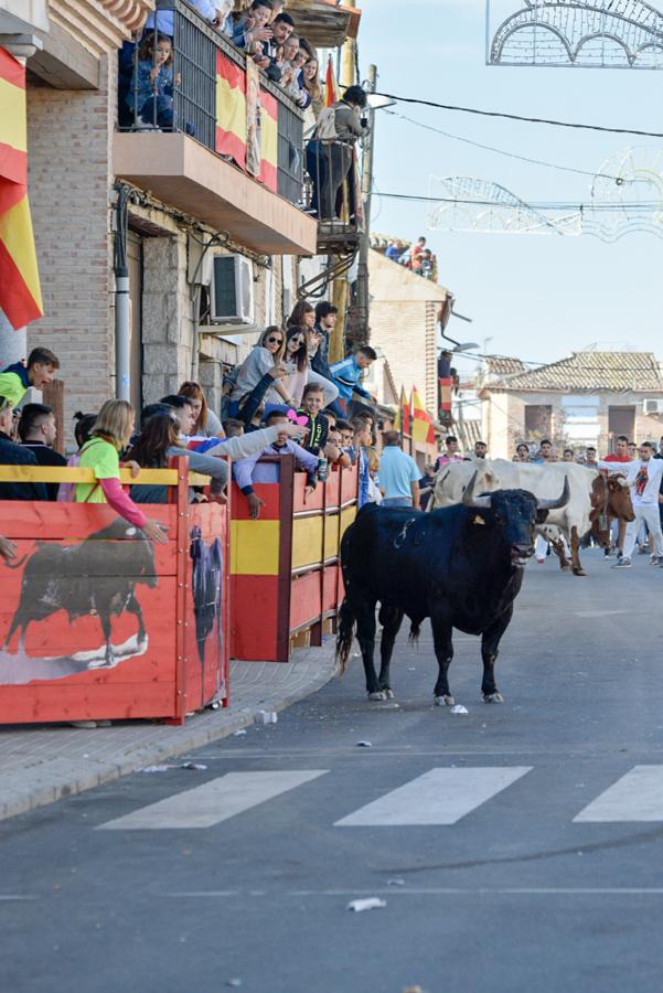 Los populares encierros de Olías del Rey, en imágenes