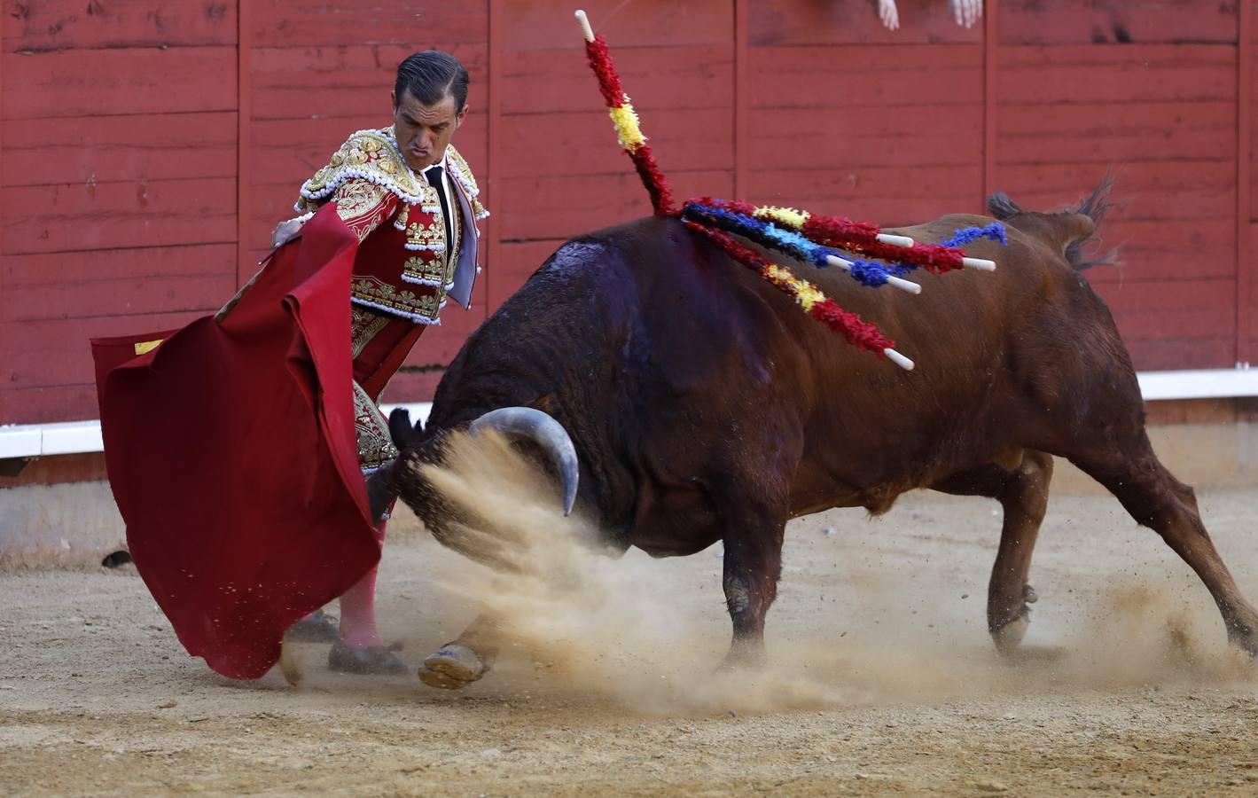 La corrida de Finito, Benítez y Filiberto Martínez en Montoro, en imágenes