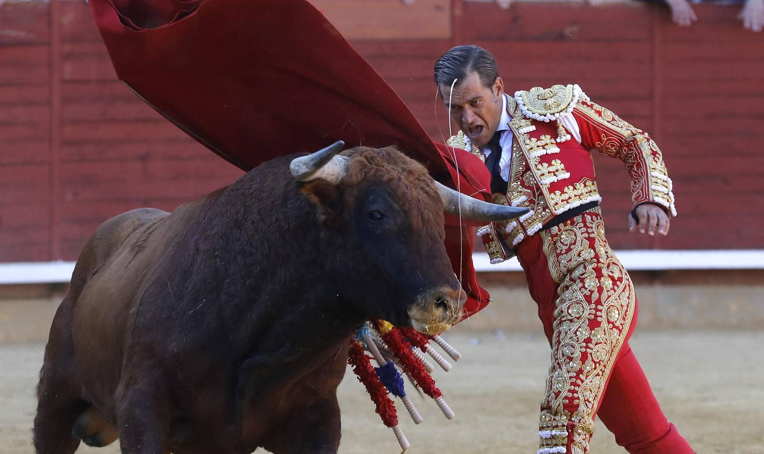 La corrida de Finito, Benítez y Filiberto Martínez en Montoro, en imágenes