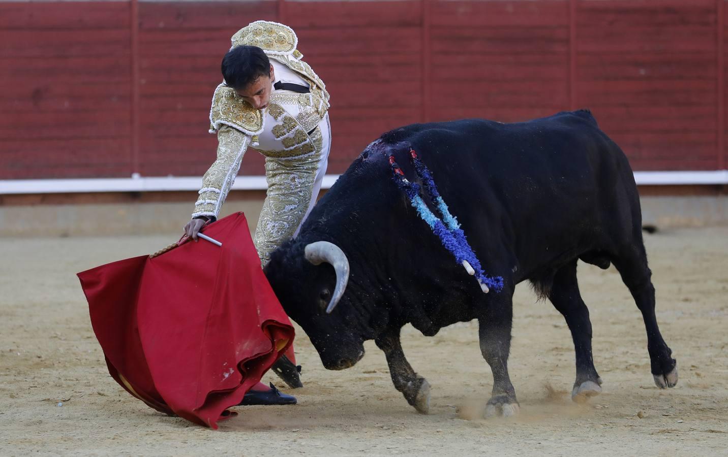 La corrida de Finito, Benítez y Filiberto Martínez en Montoro, en imágenes