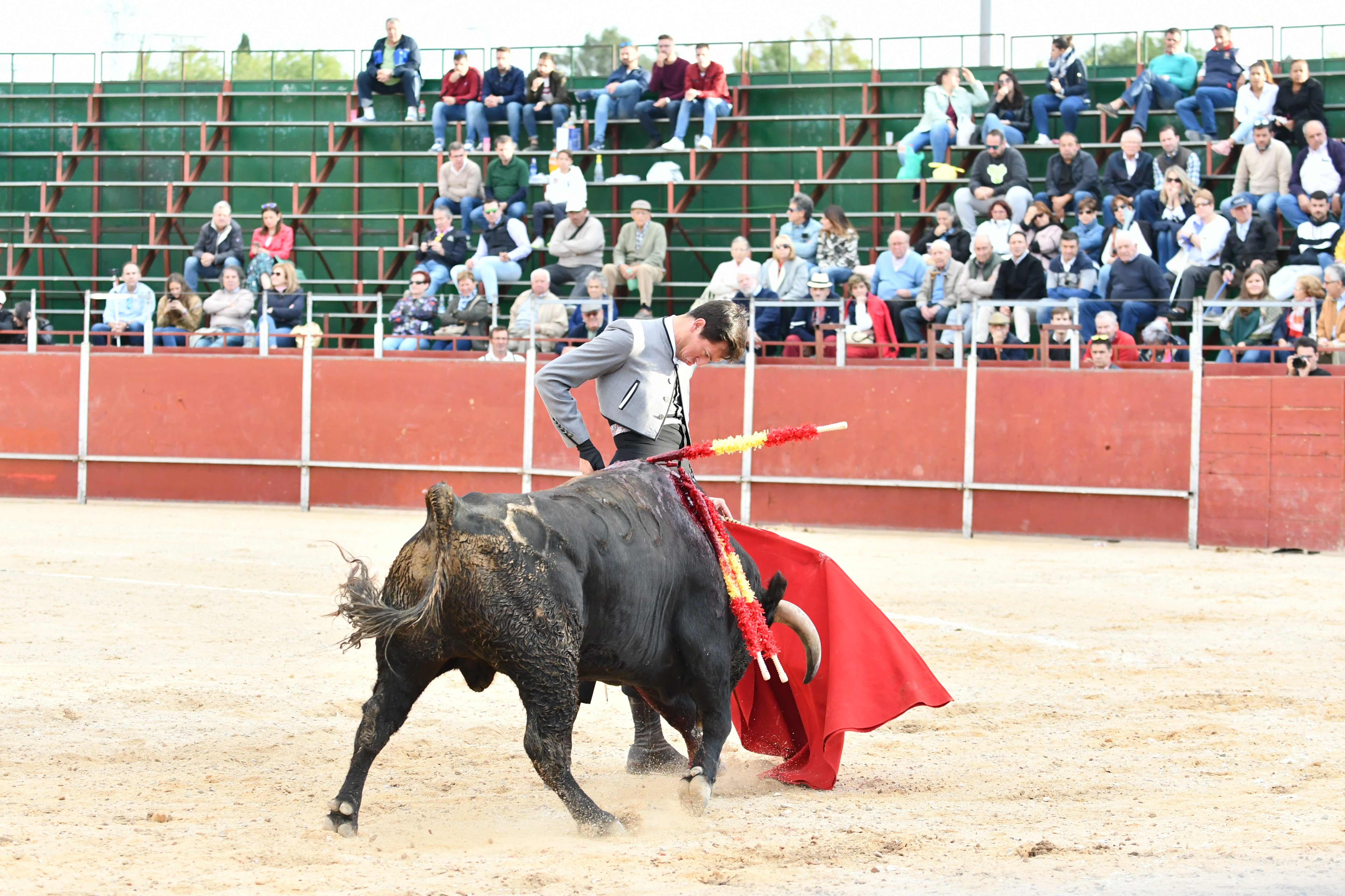 Olías del Rey despide sus festejos taurinos