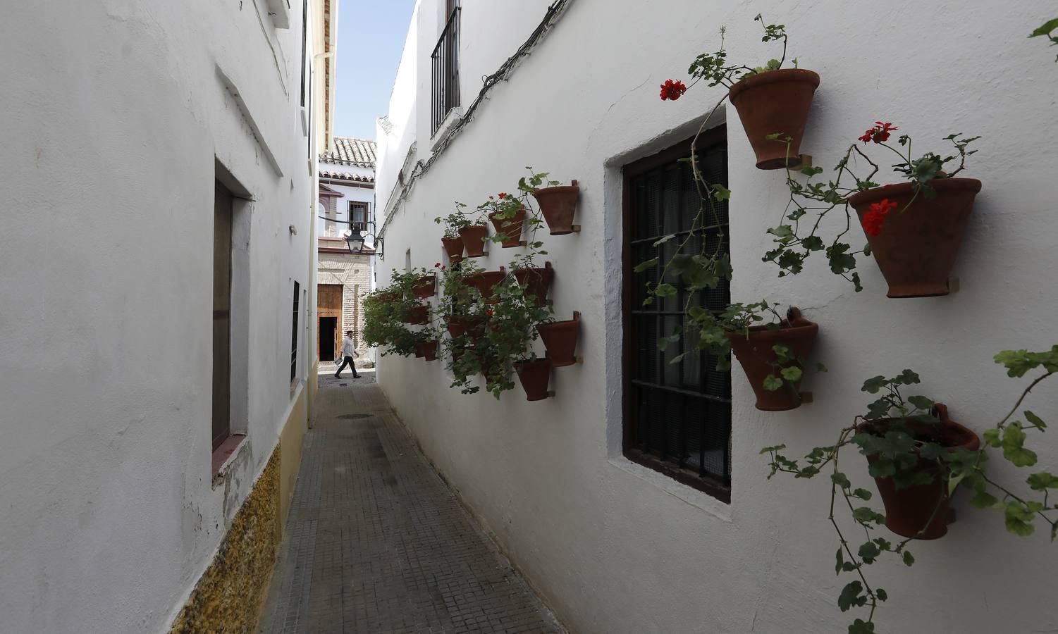 Los preparativos del II Festival de las Callejas de Córdoba, en imágenes