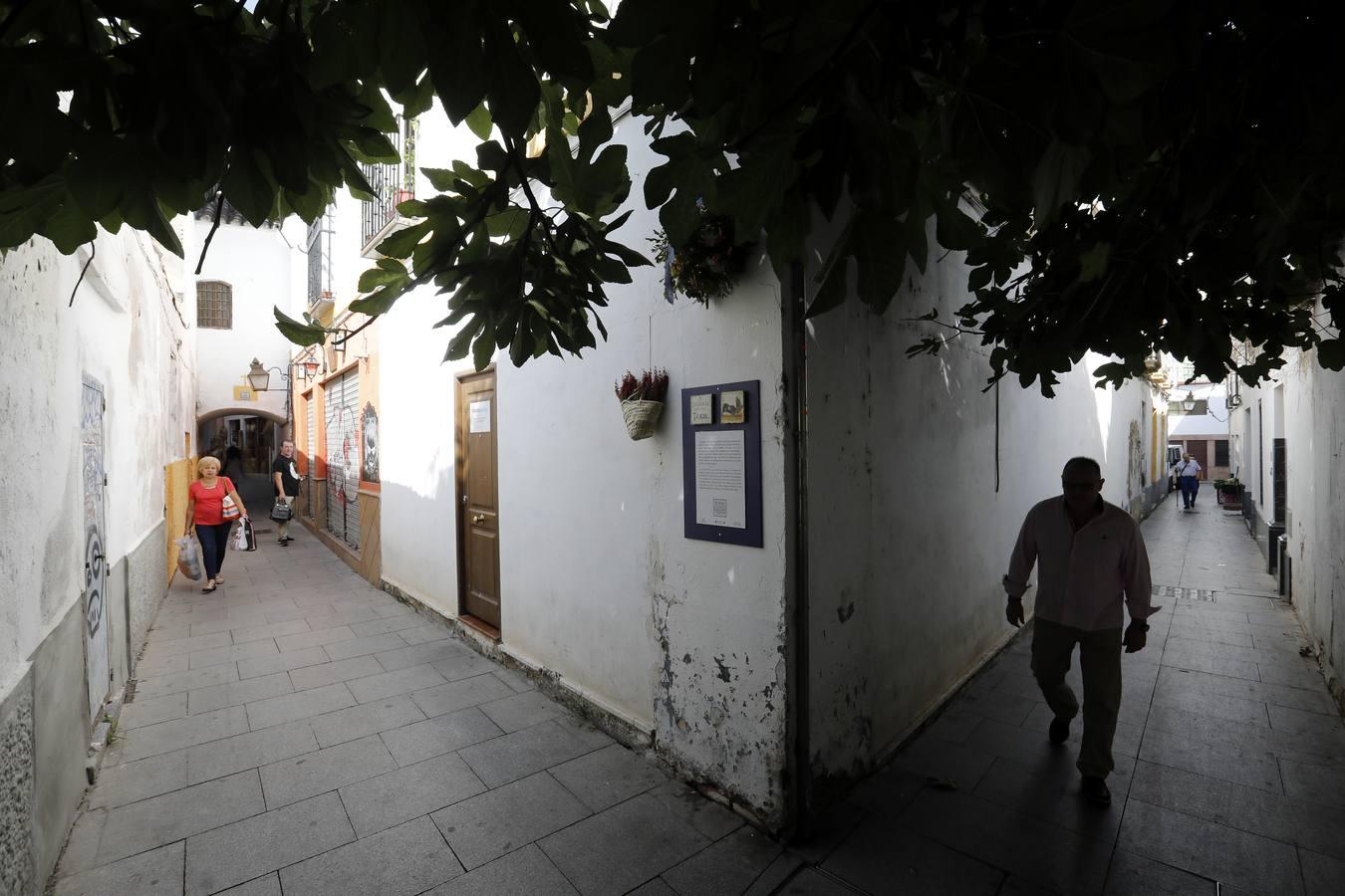 Los preparativos del II Festival de las Callejas de Córdoba, en imágenes