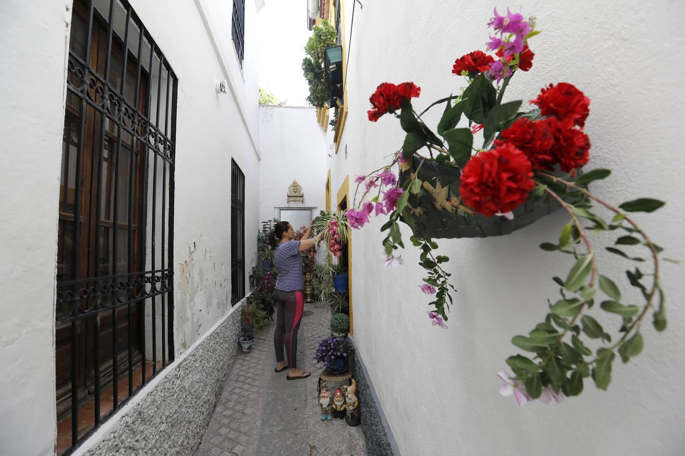 Los preparativos del II Festival de las Callejas de Córdoba, en imágenes