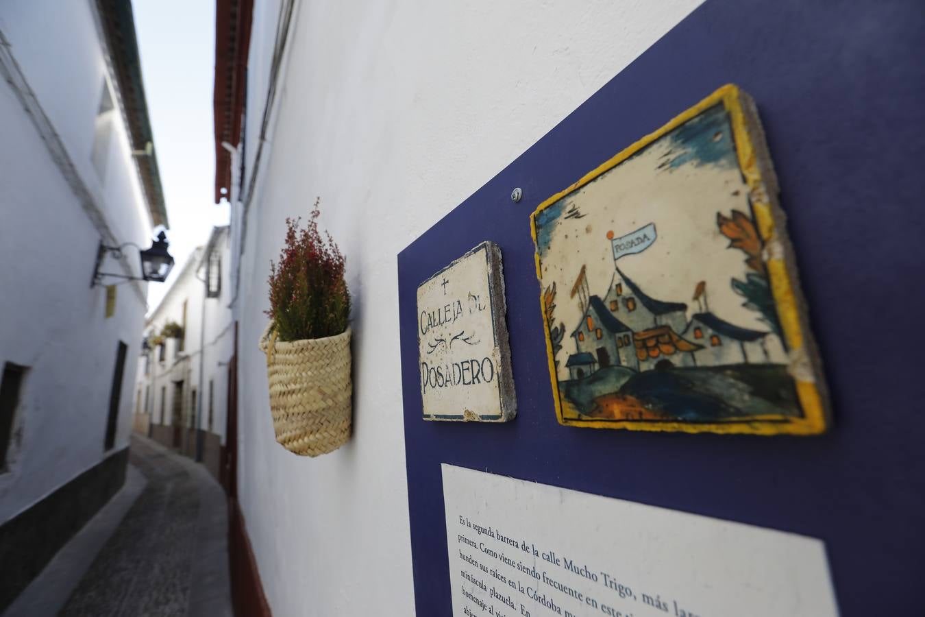 Los preparativos del II Festival de las Callejas de Córdoba, en imágenes