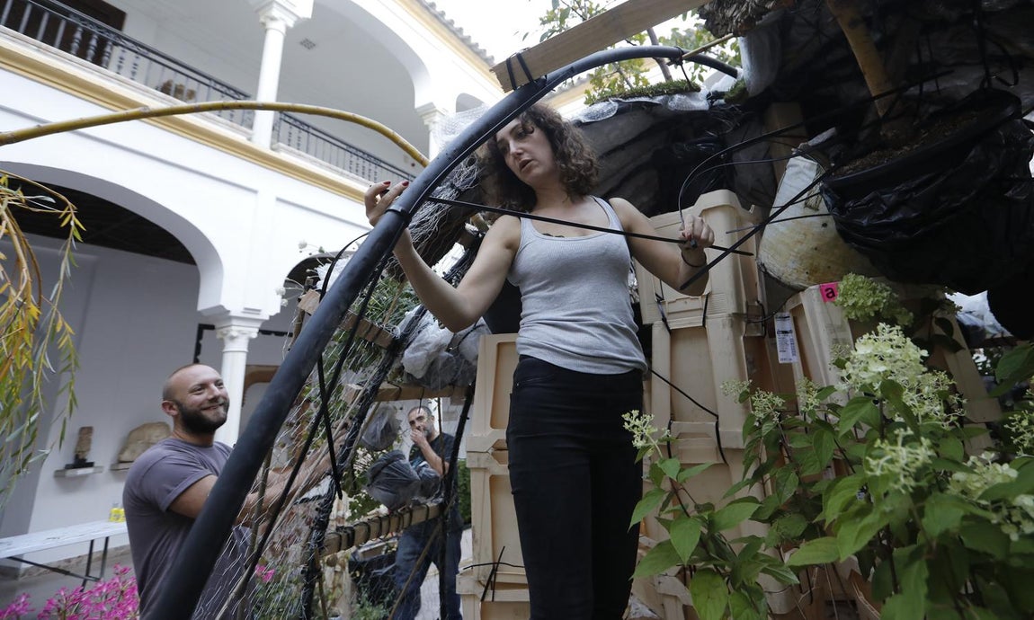 Los preparativos del Festival Flora de Córdoba, en imágenes