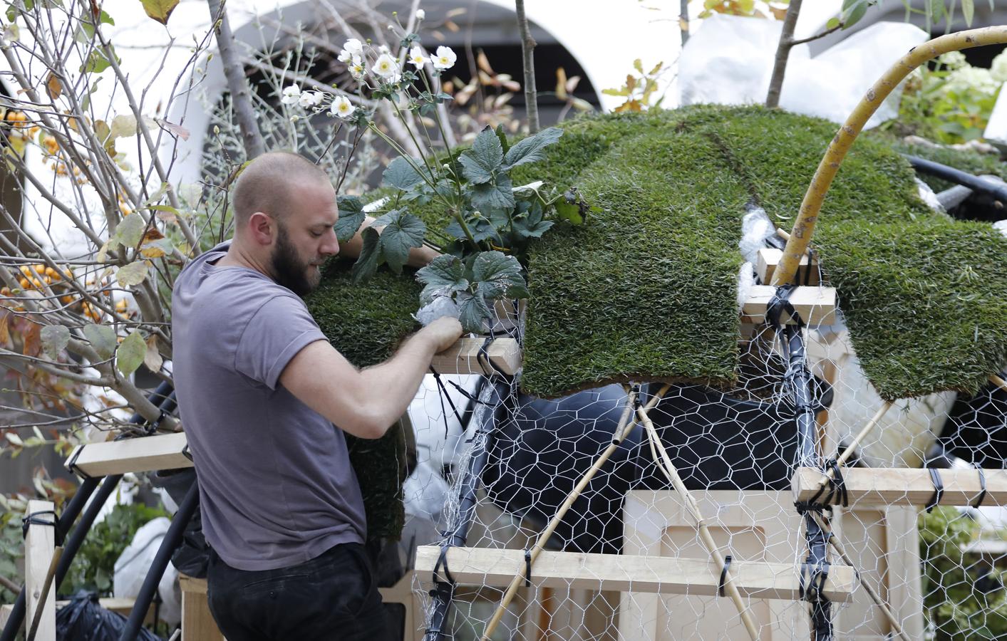 Los preparativos del Festival Flora de Córdoba, en imágenes