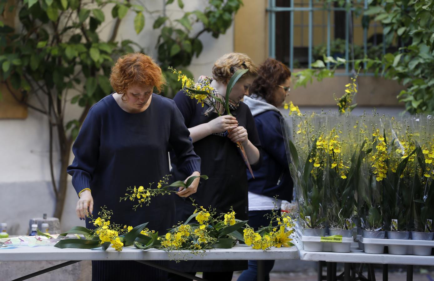 Los preparativos del Festival Flora de Córdoba, en imágenes