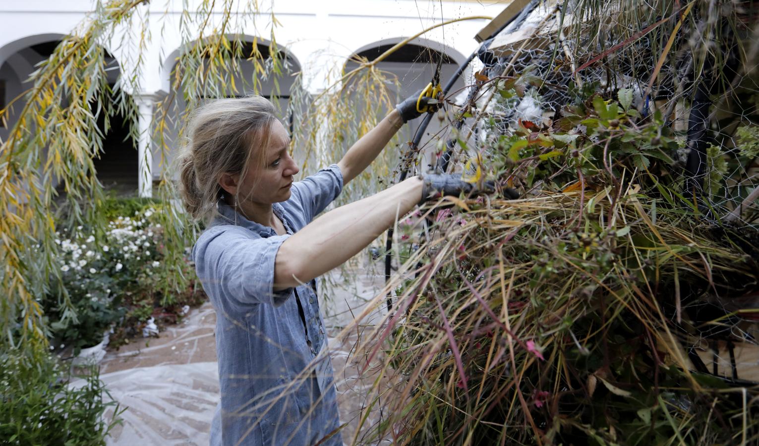 Los preparativos del Festival Flora de Córdoba, en imágenes