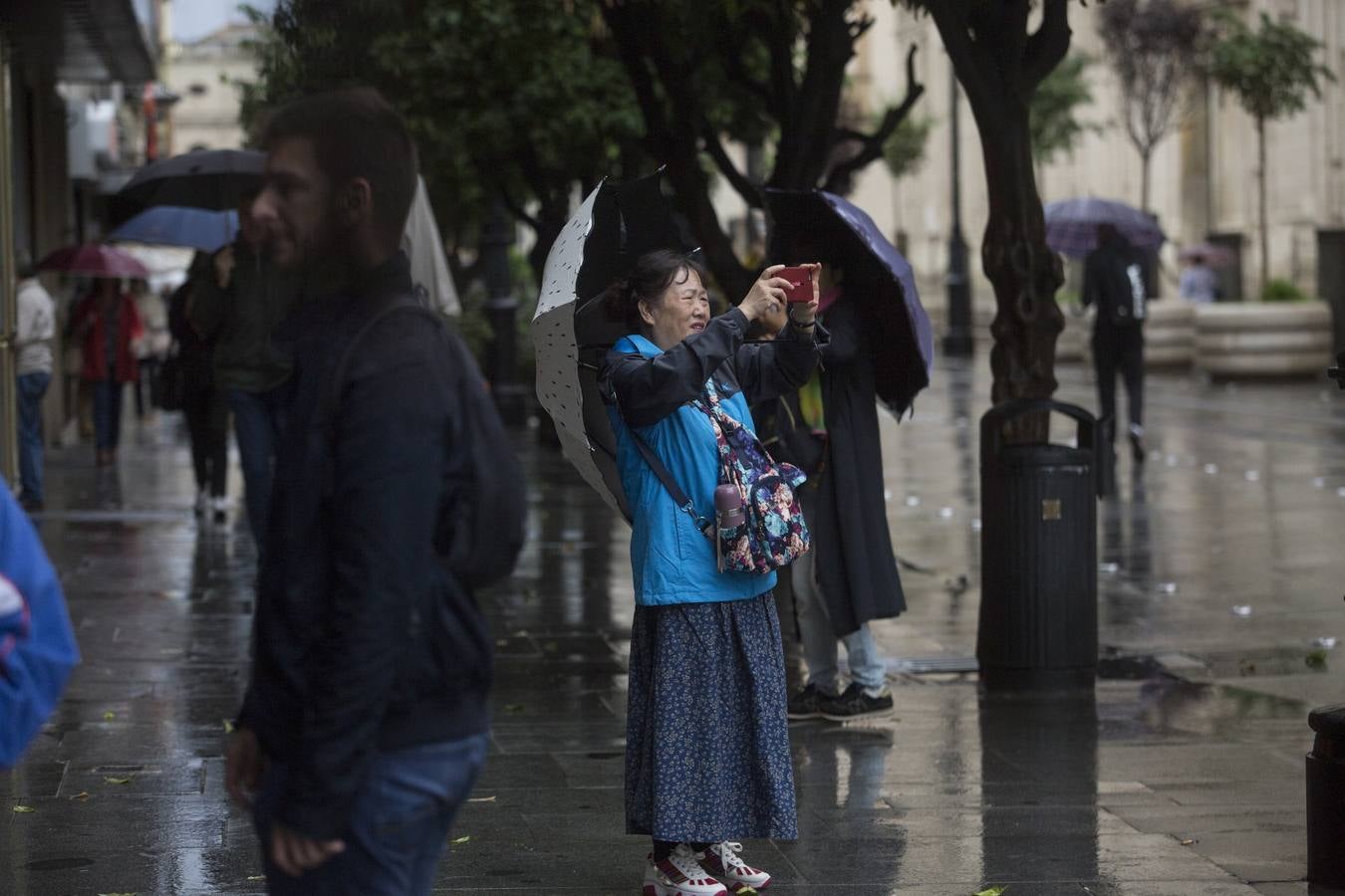 Primer temporal de lluvias en otoño en Sevilla